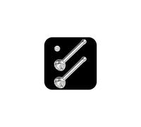 AceFun piercing nez solide titane 20G argent fin 1 forme piercing nasal G23 2 pièces 3mm sparkly piercing nasal bijoux pour femmes hommes