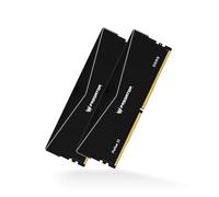 Acer Predator Pallas II DDR5 Heatsink U-DIMM 6000 MHz 96 Go (48 Go x 2) CL28 - Intel XMP 3.0 & AMD Expo - Mémoire vive pour Ordinateur de Jeu - Noir