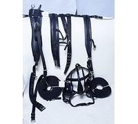 Aces Equine Harnais de conduite en nylon pour chariot de cheval Noir Taille complète Cob Pony (Mini Shetland)