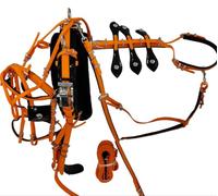 Aces Equine Harnais de trot rapide en PVC pour cheval Orange Noir Design sécurisé Taille Shetland