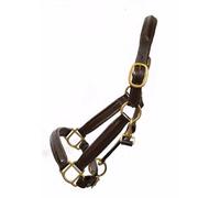 Aces Equine Licol réglable en cuir pour cheval entièrement surélevé et rembourré en laiton (marron) (cob)