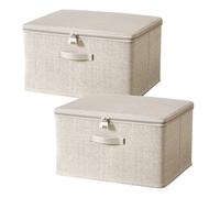 ACESOME Boîte avec Serrure, Boîte Pharmacie, boite de Rangement avec Couvercle, Rangement Medicament Rangement pour les vêtements, les friandises, les jouets, etc (40 x 30 x 21 cm, 2)