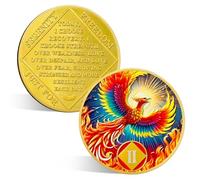 ACGZQY Médaillon Na 2 ans - Rebirth Phoenix Sobriety Chip AA NA Coins and Medailons Upon Awakening Recovery Addiction Sober Token Affirmation Narcotics Anonymous Gifts