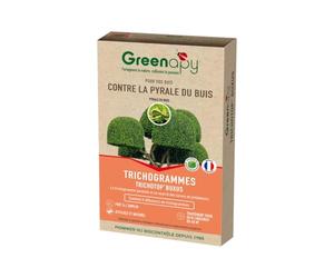 Achat nature - Trichogrammes anti pyrale de buis TRICHOTOP BUXUS