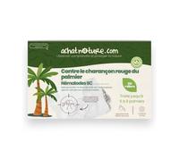 achatnature - Nématodes SC contre charançon rouge du palmier - 100 millions - 5 à 8 palmiers