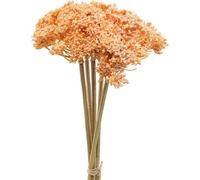 Achillée millefeuille Fleurs artificielles Orange 50cm 5er Bund Deko Fleurs des prés Style campagnard Décoration d'automne