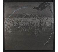 Acid Mothers Temple - in Search of Lost. [Import]