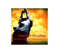 Acid Mothers Temple - Minstrel in The Galaxy [Import]