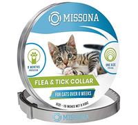 Acier Inoxydable Pet ID Tags personnalisé personnalisée Dog Tags gravé Avant/arrière pour Chien et Chat avec différentes Formes (L, Bouclier)