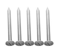 Acier Inoxydable Piquets D'arpentage Pointes, 5 Pièces, Tête Plate | Marquage Permanent du Sol, Argenté, Compact et Résistant à Corrosion, pour Chantier et Terrain