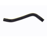 ACKOJA A26-1607 Durite de refroidissement