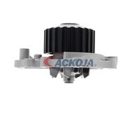 ACKOJA A26-50011 Pompe à eau