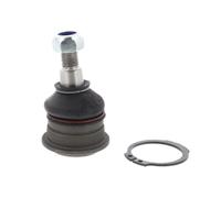 Rotule ACKOJA A37-1152