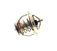 ACKOJA A37-99-0010 Thermostat d'eau