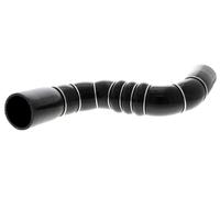 Gaine de suralimentation ACKOJA A38-9602