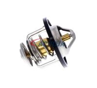 ACKOJA A38-99-0003 Thermostat d'eau