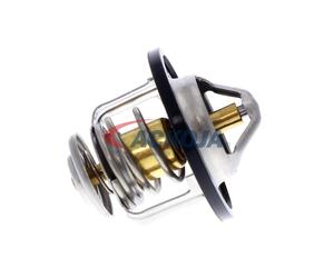 ACKOJA A38-99-0003 Thermostat d'eau