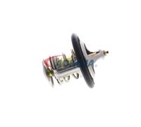 ACKOJA A38-99-0006 Thermostat d'eau