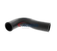 ACKOJA A51-1602 Durite de refroidissement