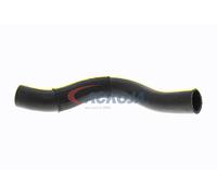 Tuyau du système de refroidissement supérieur A52-1600 ACKOJA pour KIA HYUNDAI