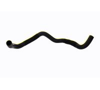 ACKOJA A52-1603 Durite de refroidissement