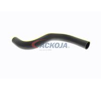 ACKOJA A52-1611 Durite de refroidissement