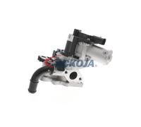 ACKOJA A52-63-0013 Vanne EGR