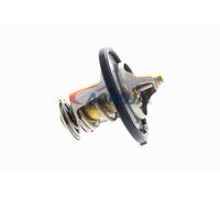 ACKOJA A52-99-0010 Thermostat d'eau