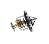 ACKOJA A52-99-0015 Thermostat d'eau