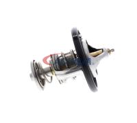 ACKOJA A52-99-0019 Thermostat d'eau