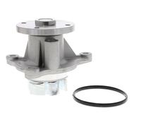 ACKOJA A53-50010 Pompe à eau (25100-03-011)