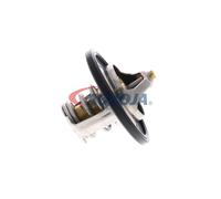 ACKOJA A53-99-0002 Thermostat d'eau