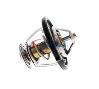 ACKOJA A53-99-0011 Thermostat d'eau