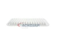 ACKOJA A70-0401 Filtre à air