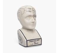 ACL Tête de phrénologie - Ornement en céramique à Collectionner - Buste rétro - Finition émaillée - Bureau de médecin - LN Fowler - Statue de Conte de Fortune - Sensations du Cerveau - 28 cm - Blanc
