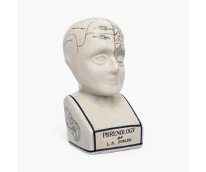 ACL Tête de phrénologie - Ornement en céramique à Collectionner - Buste rétro - Finition émaillée - Bureau de médecin - LN Fowler - Statue de Conte de Fortune - Sensations du Cerveau - 28 cm - Blanc