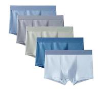ACMEDE Lot of 5 Caleçon Boxeur en Maille à écran de Glace pour Hommes Caleçon Boxer Respirant et Confortable caleçon Boxeur antibactérien Respirant à l'entrejambe à séchage Rapide, 40-75KG