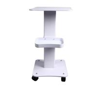 ACOGEDO Chariot de Salon de Coiffure Mobile à 3 Niveaux avec Roues Robustes Pivotantes à 360° Supportant jusqu'à 100 Kg, Idéal pour le Rangement et le spa.
