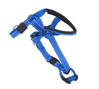 ACOGEDO Collier de Tête de Chien Harnais de Tête de Chien Respirant Couvre-Bouche de avec Sangle Réglable pour l'extérieur Orange L Contrôle de la Place Mordre en Toute sécurité Sangle d'aide (XL)