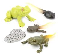 ACOGEDO Cycle de Croissance des Animaux Modèle de Cycle de Vie Modèle d'apprentissage d'enseignement Jouet pour Enfants # 3 Les Enfants Voient Les Animaux Grandir en Plastique Fabriqué Comment Le