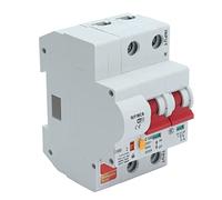 ACOGEDO Disjoncteur 2P WiFi App Commutateur de Télécommande surintensité AC220V avec Serrure (100A)