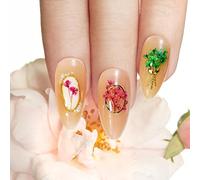 ACOGEDO Kit de Décoration de Nail Art des Fleurs Séchées Exquises pour Manucure de Bricolage - 6 Ensembles de Grille avec Mini Pétales en Couleurs Vibrantes, Idéal pour les Améliorations du Gel UV