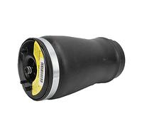 ACOGEDO Ressort de Suspension Arrière Droit de Remplacement pour X5 E53 37121095580 37126750356 Compatible avec SUV 3.0i 2001-2006