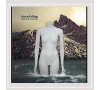 Acorn Falling - Cabinet of Curiosities