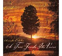 Acoustic Eidolon - A Tree Finds Its Voice