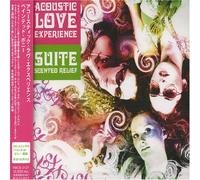 Acoustic Love Experience - Painted Pony