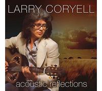 Acoustic Reflections