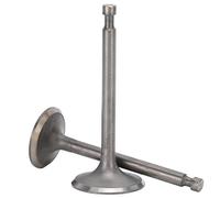 Acouto Accessoire de Pièce de Rechange de Moteur de Soupapes d'admission adapté à la Vanne de Générateur 188F/GX390 du Moteur Fin Agricole adapté à la Pêche 188F/GX390. Y Compris l' de Remplacement