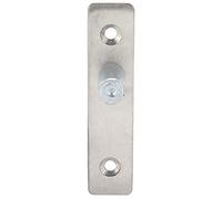 Acouto Charnière Pivotante de Porte, Charnière Pivotante de Porte Cachée Rotative en Acier Inoxydable pour Accessoires de en Verre, Poids de 2,2 Oz et Taille de 3,6 X 0,8 X 1,0 Pouces pour