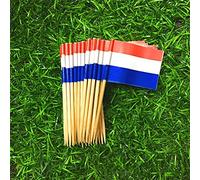 Acouto Cure-dents en Forme de Drapeaux Nationaux, Mini Cure-dents en Bois avec Drapeaux en Papier, Parfaits pour les Décorations de Fête, les Mariages et les événements pour Enfants (100 Pays-Bas)